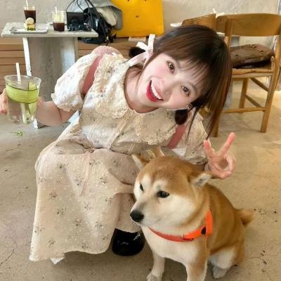 恋马人