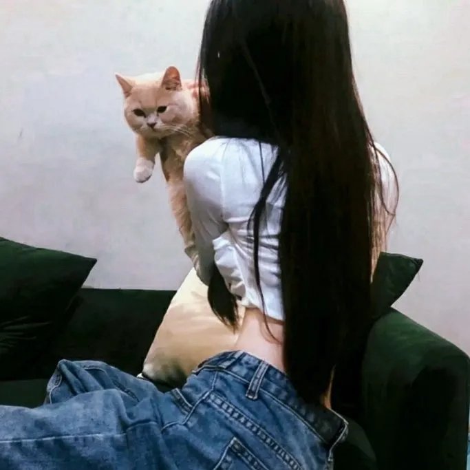 公牛犹斗